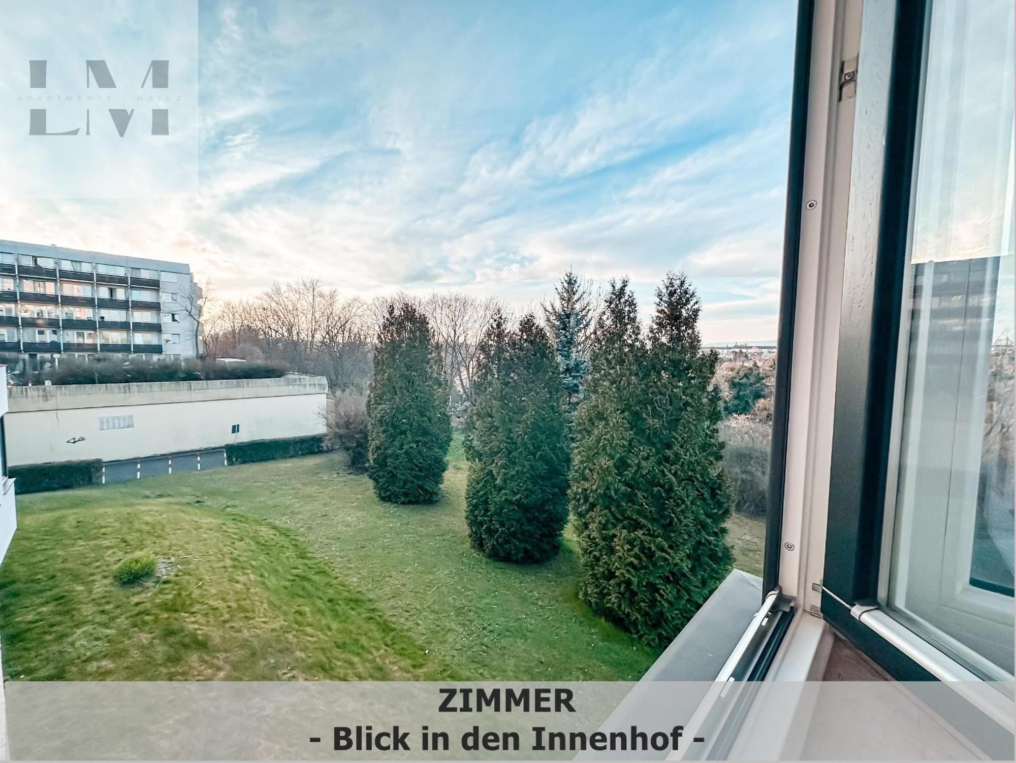 Lm-Apartmentsmainz-01 Exterior foto